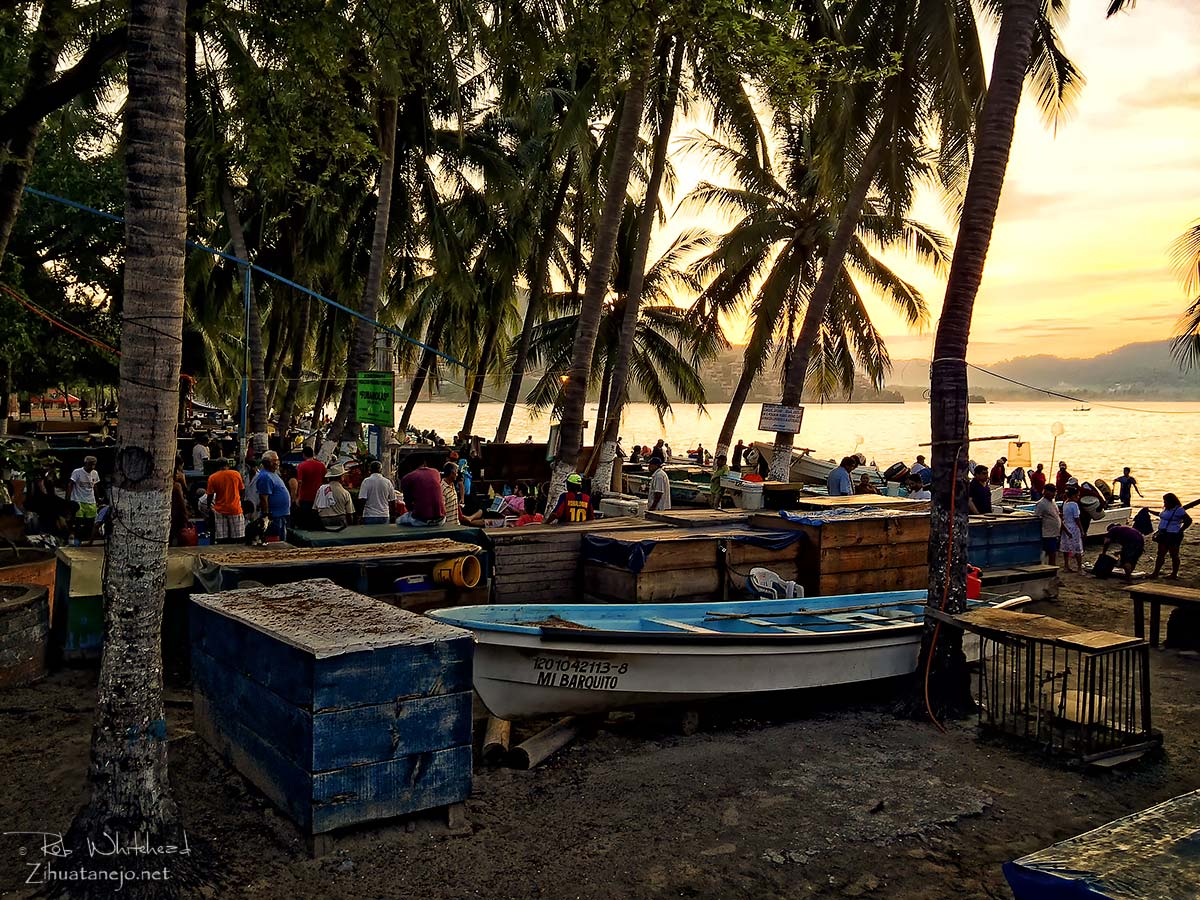 Fishermen's Market - Zihuatanejo