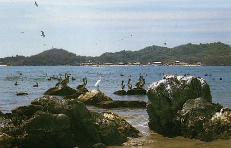 Playa Cuachalalata - Isla Ixtapa